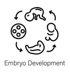 Embryo Development