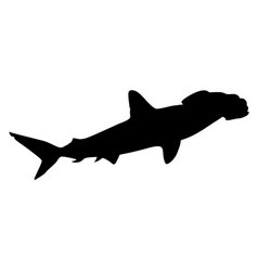 Silhouette Of A Hammerhead Shark