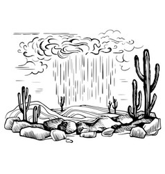 Arizona Desert Rain Storm