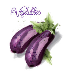 Eggplant Vegetables Watercolor Isolated On White