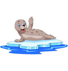 Cartoon Seal On Ice Floe