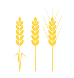 Golden Wheat Ear Icon Eps 10