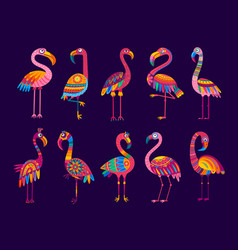 Cartoon Brazilian Flamingo Birds Set