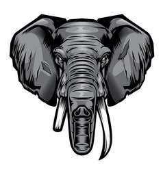 Head Elephant Drawing