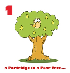 Partridge In A Pear Tree Cartoon