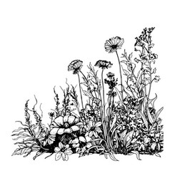 Part Of Wild Flower Field Hand Drawn Sketch