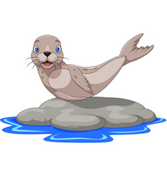 Cartoon Sea Lion On The Rock