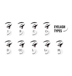 Eyelash Types Curved Female Eyelashes Extension