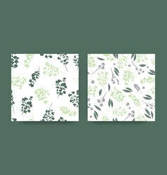 Summer Eucalyptus Pattern Nature Foliage Texture