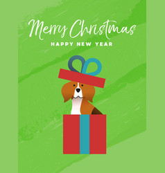 Christmas And New Year Holiday Beagle Dog Card