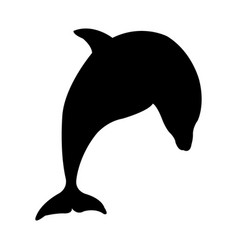 Dolphin Silhouette