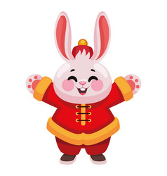 Happy Chinese Rabbit