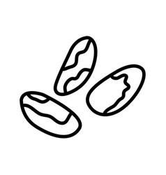 Brazil Nuts Outline Icon Isolated On White