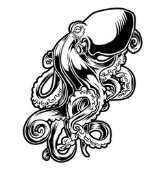 Octopus outline drawing Royalty Free Vector Image