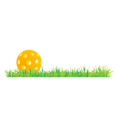 Pickleball With Green Grass