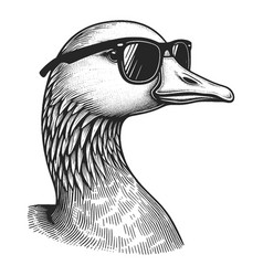 Goose In Sunglasses Engraving Sketch