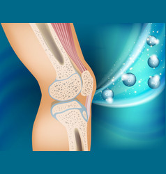 Concept Of Vitamins For The Healthy Knee Joint