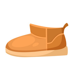 Brown Shoe On A Plain