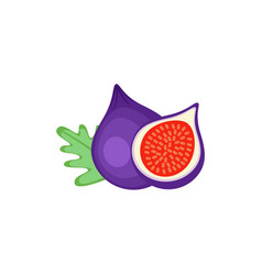 Fig Fruit Flat Design Clip Art