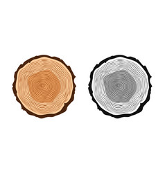 Round Tree Trunk Cuts In Various Colors Sawn Pine