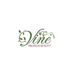 Vine Typography With Ivy Leaf Logo