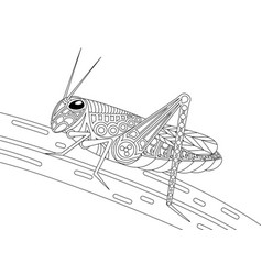 Monochrome Grasshopper Coloring Page Black Over