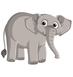 Elephant Cartoon Character Standing On White