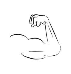 Simple Sketch Arm Of Muscle Man Isolated On White