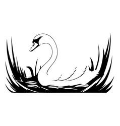 Swan On The Lake Of A Swan