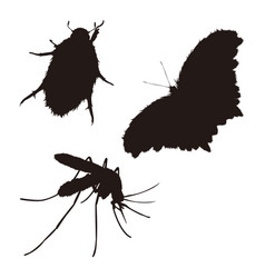 Hairy Insect Silhouette Set