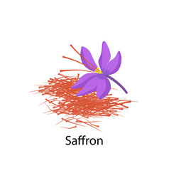 Saffron Flower Spice In Flat