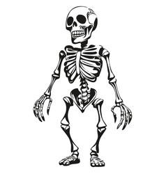 Skeleton Entity For Spooky Halloween Scene