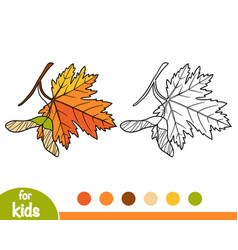 Coloring Book Maple Leaf