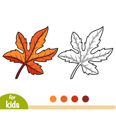 Coloring Book Fig Tree Leaf