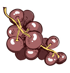 Grapes Branch