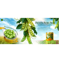 Canned Young Pea Ads Banner