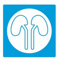 Icon Of Kidney - White Moon Style