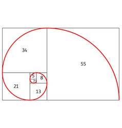 Golden ratio proportion spiral section Royalty Free Vector