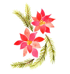 Christmas Flower And Pine Leaves Watercolor