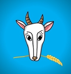 Goat With Ears Of Wheat In The Mouth