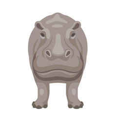 Hippo Looks Straight Ahead Cartoon