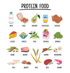 Cartoon Protein Food Different Soy Milk And Meat