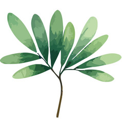 Jungle Branch With Leafs Plant Watercolor Style