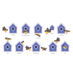 Birdhouse English Prepositions Birds Position