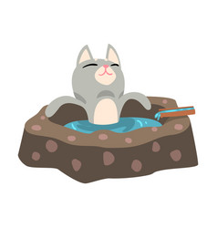 Funny Grey Cat Taking An Onsen Bath Outdoor Cute