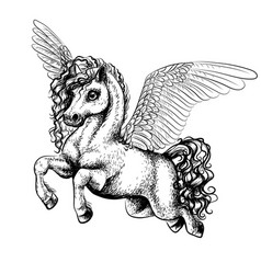 Pegasus Sketch Drawing Of A Flying