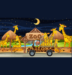 Safari At Night Scene With Giraffe Group