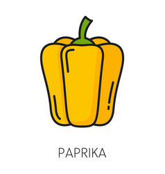 Paprika Vegetable Capsicum Bulgarian Bell Pepper