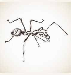 Sketch Of Ant Hand Drawn