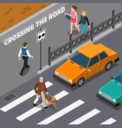 Blind Person On Crosswalk Isometric